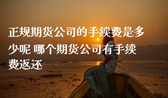 正规期货公司的手续费是多少呢 哪个期货公司有手续费返还