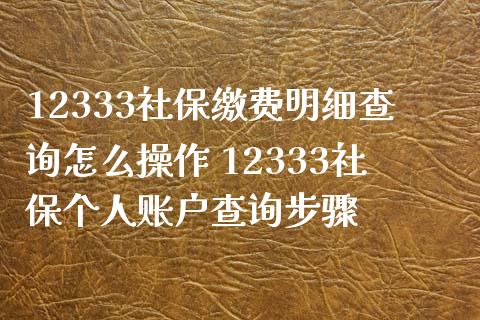 12333社保缴费明细查询怎么操作 12333社保个人账户查询步骤