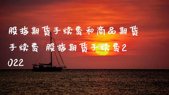 股指期货手续费和商品期货手续费 股指期货手续费2022