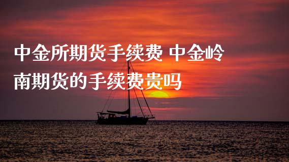 所期货手续费 岭南期货的手续费贵吗