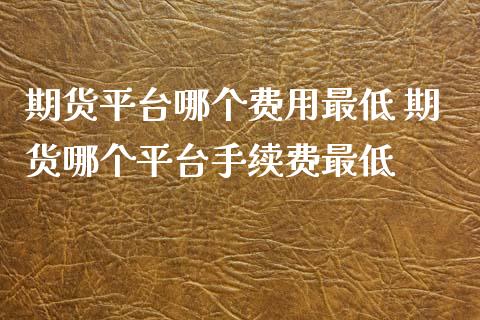 期货平台哪个费用最低 期货哪个平台手续费最低