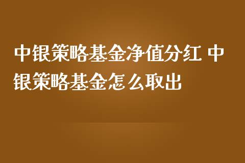 中银策略基金净值分红 中银策略基金怎么取出