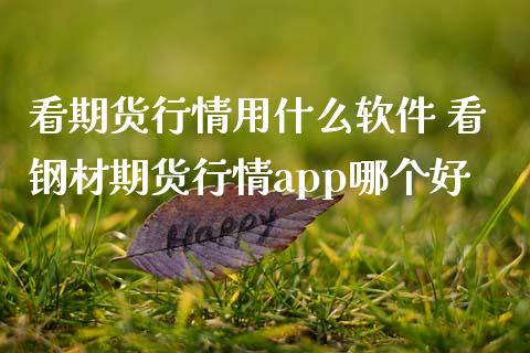 看期货行情用什么软件 看钢材期货行情app哪个好