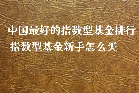 中国最好的指数型基金排行 指数型基金新手怎么买