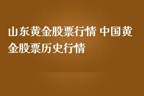 山东黄金股票行情 中国黄金股票历史行情