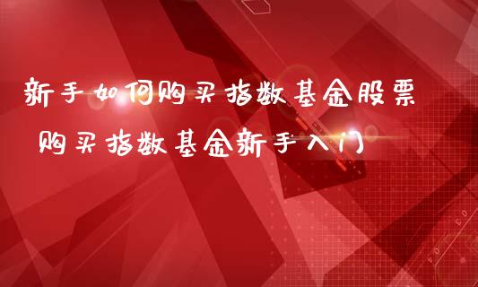 新手如何购买指数基金股票 购买指数基金新手入门