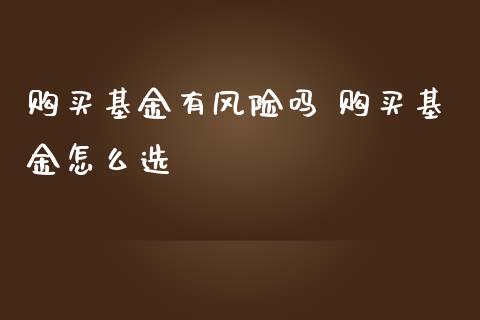 购买基金有风险吗 购买基金怎么选