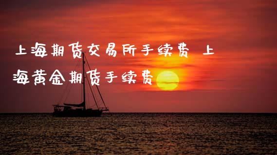 上海期货交易所手续费 上海黄金期货手续费