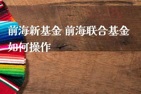 前海新基金 前海联合基金如何操作