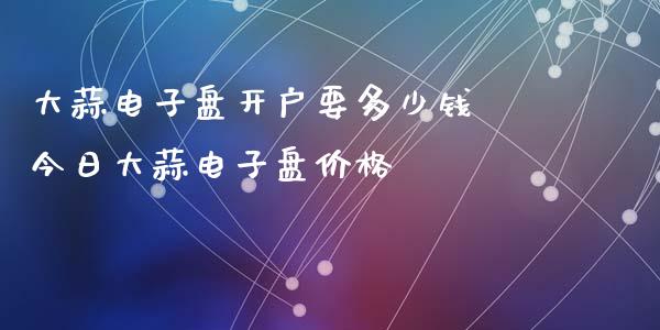 大蒜电子盘开户要多少钱 今日大蒜电子盘价格