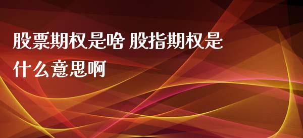 股票期权是啥 股指期权是什么意思啊
