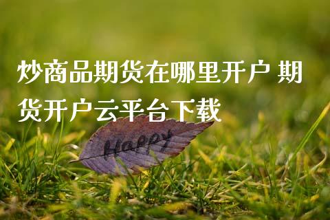 炒商品期货在哪里开户 期货开户云平台下载