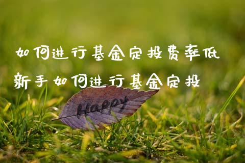 如何进行基金定投费率低 新手如何进行基金定投