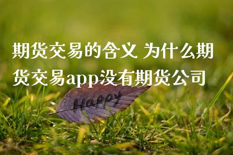 期货交易的含义 为什么期货交易app没有期货公司