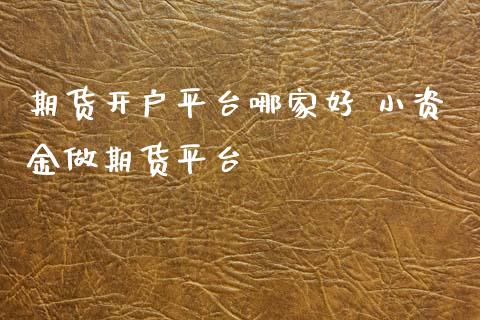 期货开户平台哪家好 小资金做期货平台