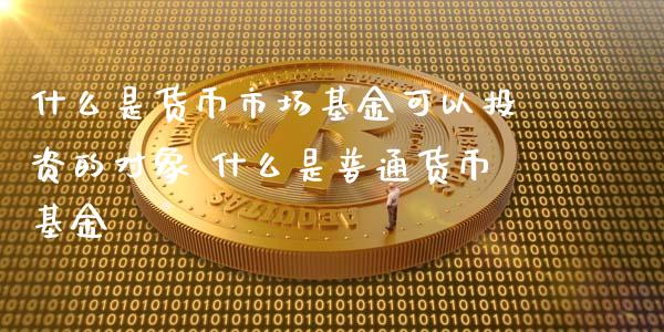 什么是货币市场基金可以投资的对象 什么是普通货币基金