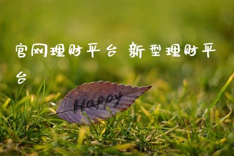 理财平台 新型理财平台