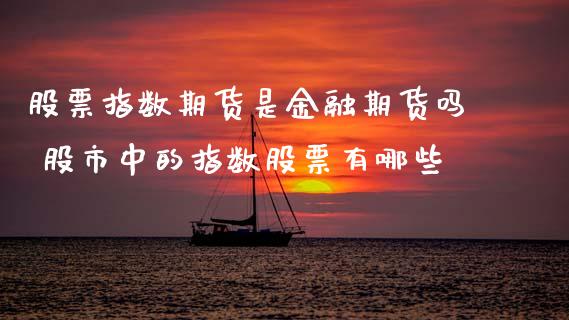 股票指数期货是金融期货吗 股市中的指数股票有哪些