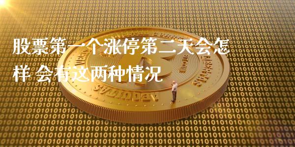 股票第一个涨停第二天会怎样 会有这两种情况