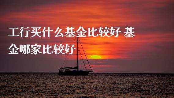 工行买什么基金比较好 基金哪家比较好