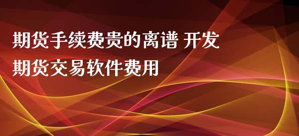 期货手续费贵的离谱 开发期货交易软件费用