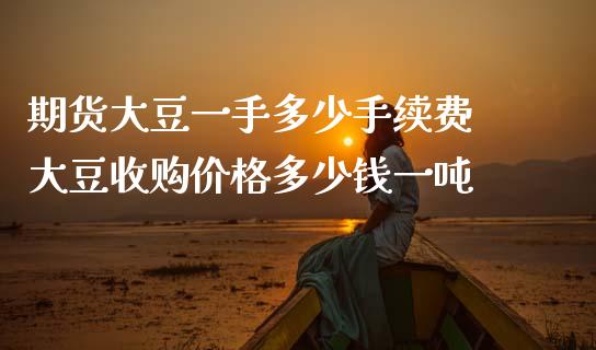 期货大豆一手多少手续费 大豆收购价格多少钱一吨