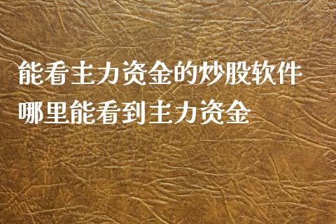 能看主力资金的炒股软件 哪里能看到主力资金