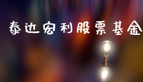 泰达宏利股票基金