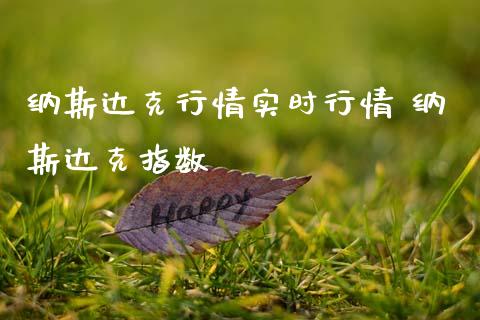 纳斯达克行情实时行情 纳斯达克指数