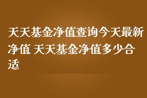 天天基金净值查询今天最新净值 天天基金净值多少合适