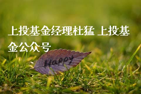 上投基金经理杜猛 上投基金
