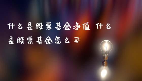 什么是股票基金净值 什么是股票基金怎么买