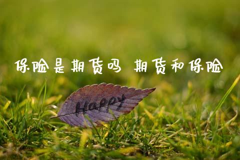 保险是期货吗 期货和保险