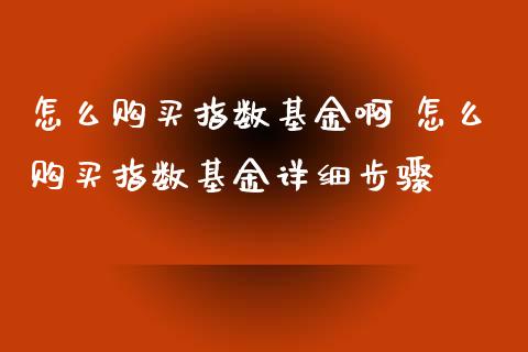 怎么购买指数基金啊 怎么购买指数基金详细步骤