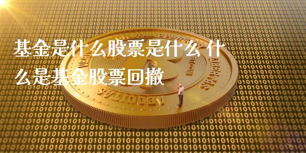基金是什么股票是什么 什么是基金股票回撤