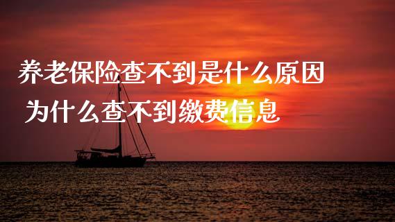 养老保险查不到是什么原因 为什么查不到缴费信息