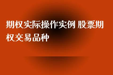 期权实际操作实例 股票期权交易品种