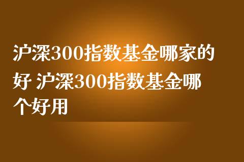 沪深300指数基金哪家的好 沪深300指数基金哪个好用