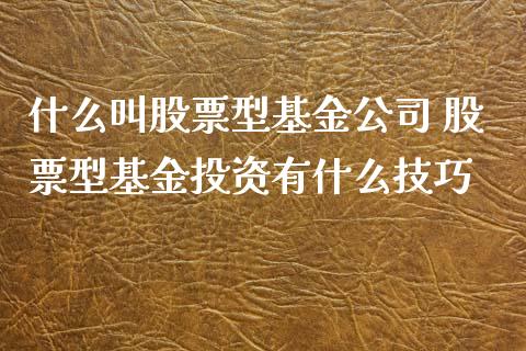 什么叫股票型基金公司 股票型基资有什么技巧