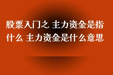 股票入门之 主力资金是指什么 主力资金是什么意思