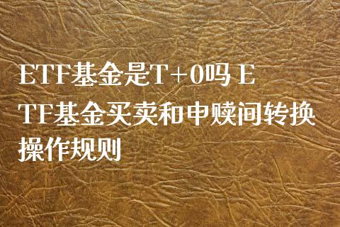 ETF基金是T+0吗 ETF基金买卖和申赎间转换操作规则