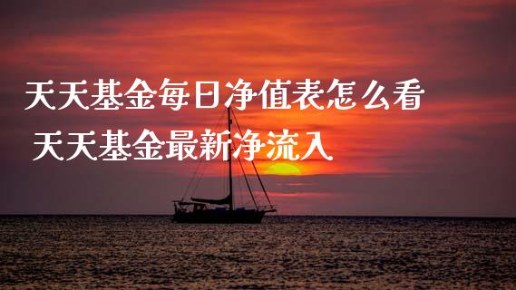 天天基金每日净值表怎么看 天天基金最新净流入