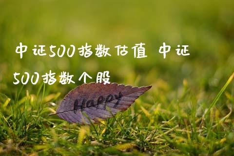 中证500指数估值 中证500指数个股