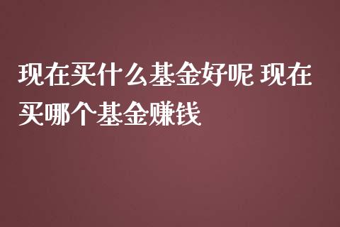 现在买什么基金好呢 现在买哪个基金赚钱