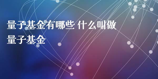 量子基金有哪些 什么叫做量子基金