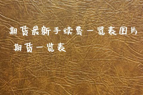 期货最新手续费一览表图片 期货一览表