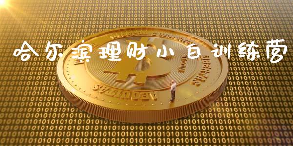 哈尔滨理财小白训练营