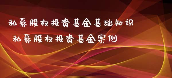 私募股权投资基金基础知识 私募股权投资基金案例