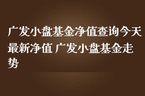 广发小盘基金净值查询今天最新净值 广发小盘基金走势