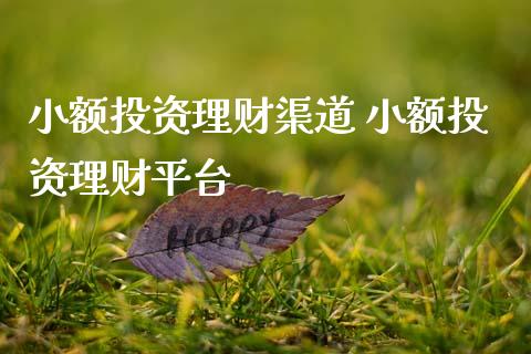 小额投资理财渠道 小额投资理财平台